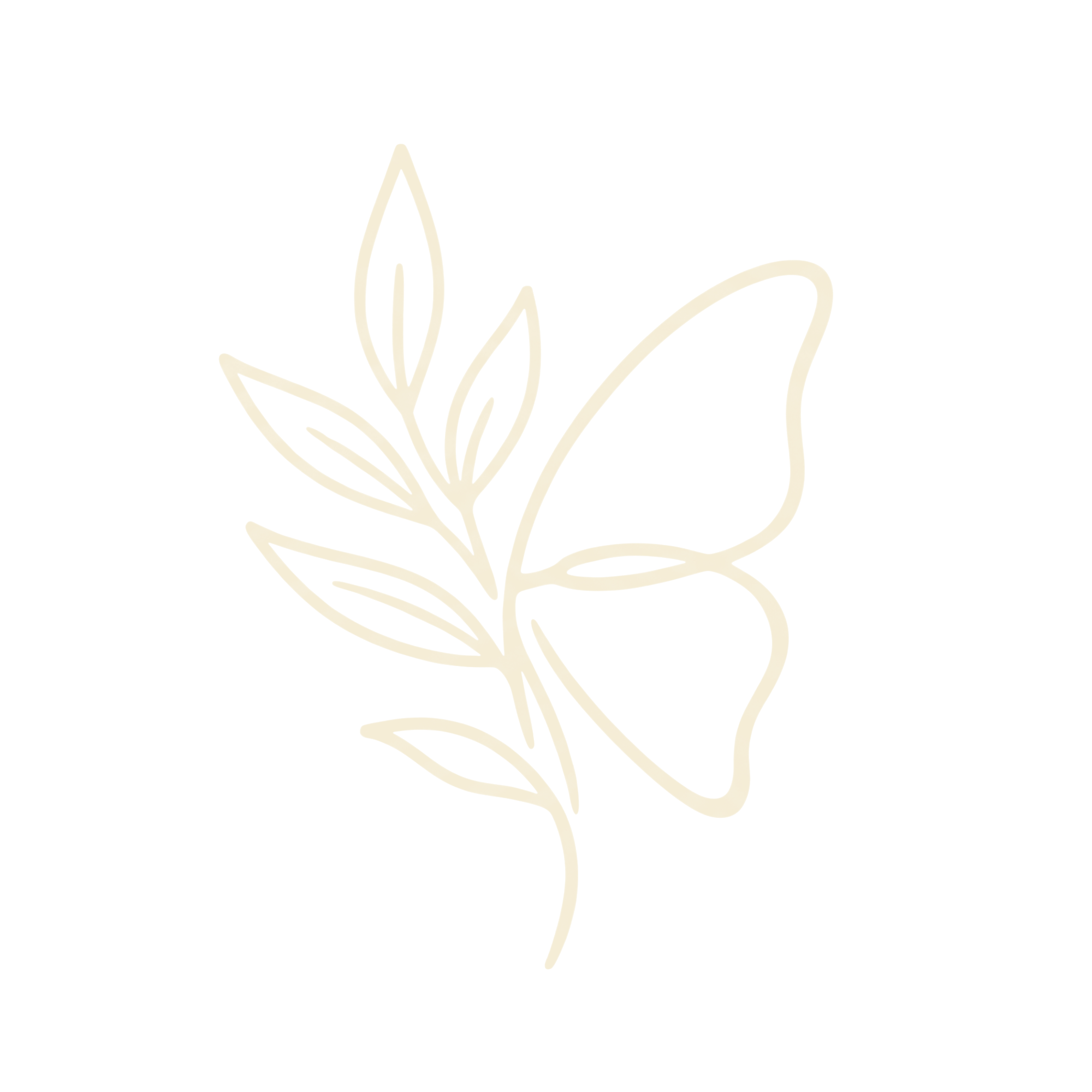 Women Prosperity Agency logo
